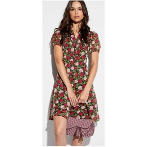Floral Short-Sleeve Fit & Flare Dress in Black and Pink
